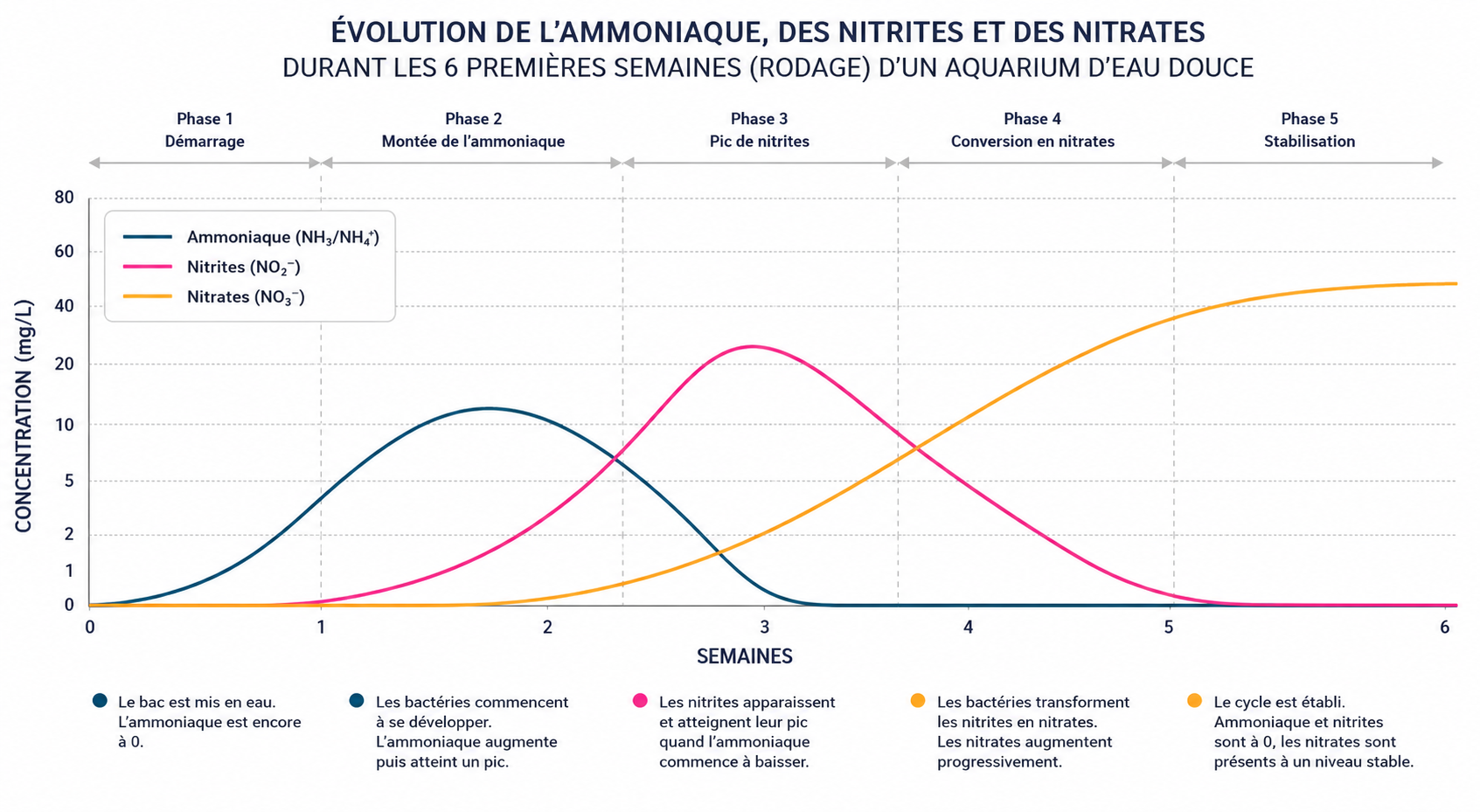 Evolution des paramètres d’eau durant le rodage de l’aquarium